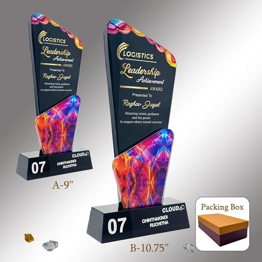 Leadership Achievement Award Trophy