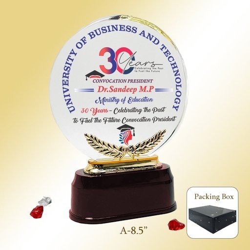 30 Years Celebration Award