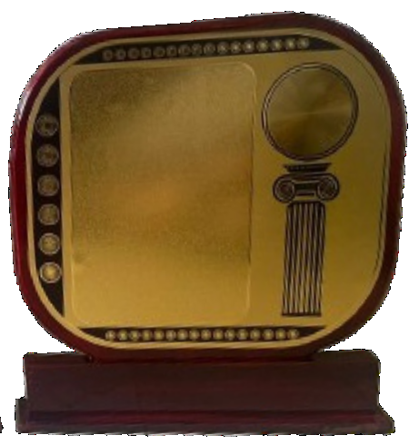 Gold Finish  Award Memento