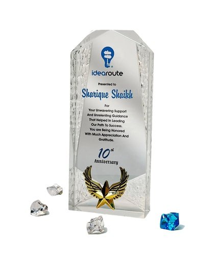 10th Anniversary Appreciation Award