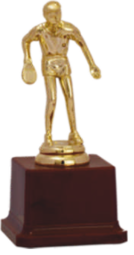 Boxing Champion Gold Trophy
