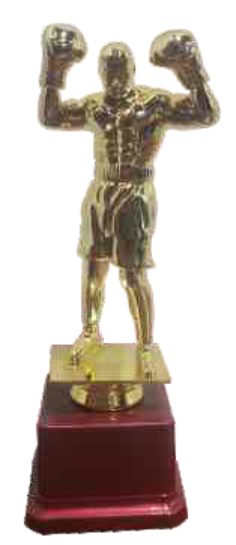 Boxing Champion Trophy