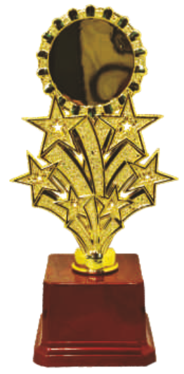 Star Award Trophy